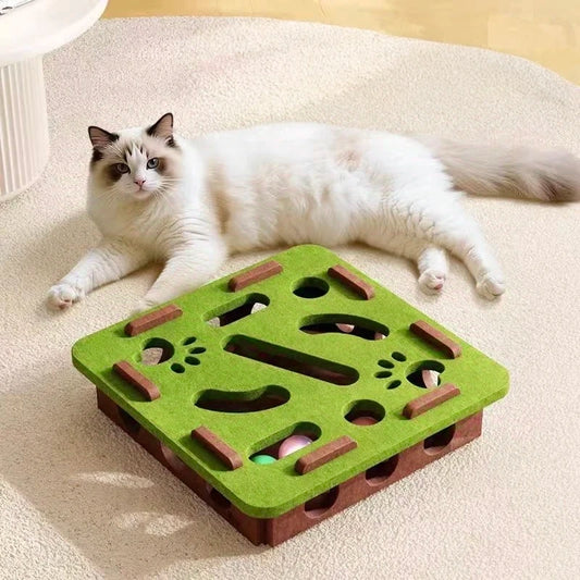 Pet Cat Puzzle Maze Holes