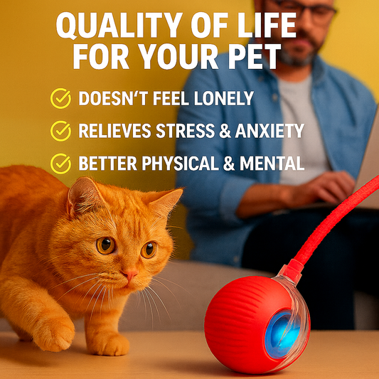 Smart Moving Ball That Keeps Pets Active & Happy — Automatically