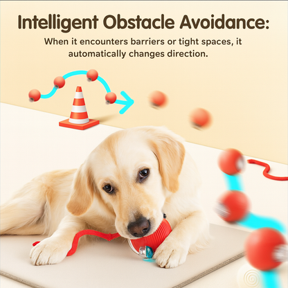 Smart Moving Ball That Keeps Pets Active & Happy — Automatically