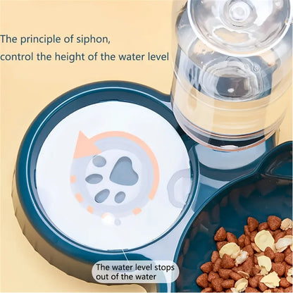 Pawserve Automatic Feeding Station