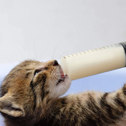 Pawcare Pet Feeding Syringe