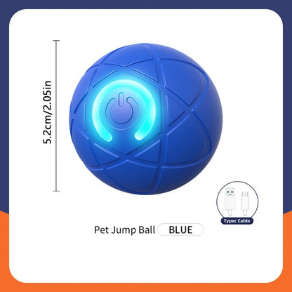 Smart Dog Toy Ball Electronic