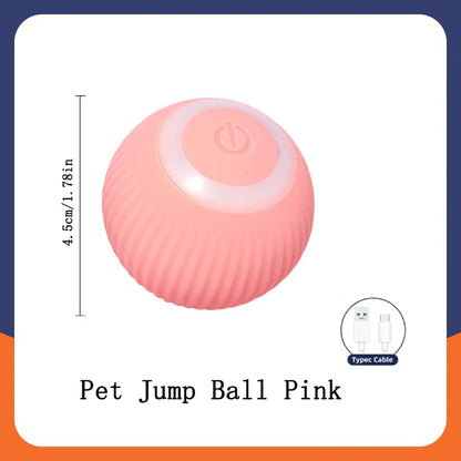 Smart Dog Toy Ball Electronic