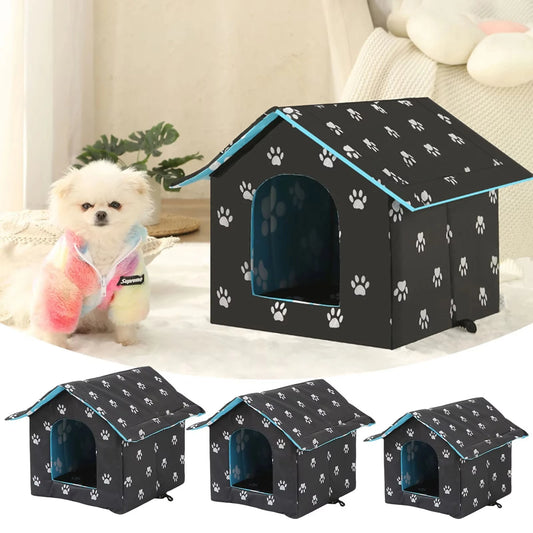 Stray Cat Bed Outdoor Rain