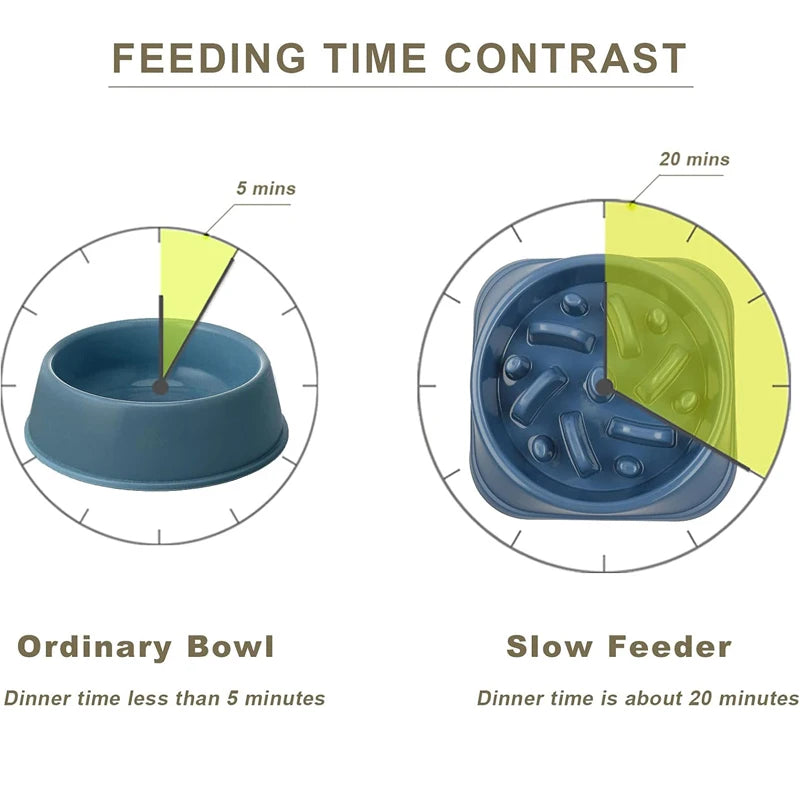 Pawslow Anti Gulp Dog Bowl