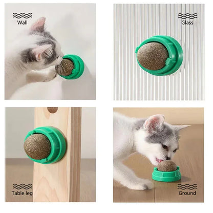 Catnip Cat Wall Stick Ball