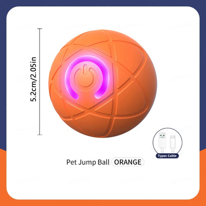 Smart Dog Toy Ball Electronic