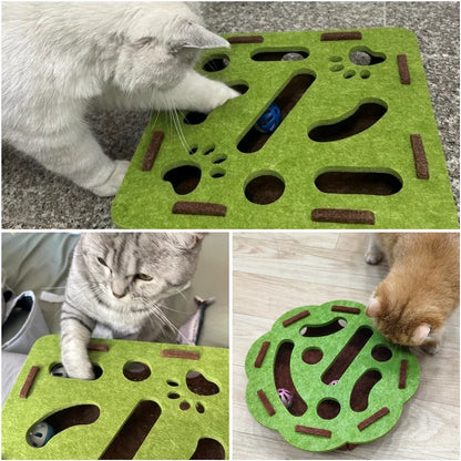 Pet Cat Puzzle Maze Holes