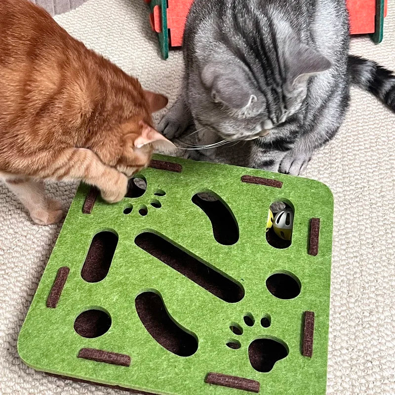 Pet Cat Puzzle Maze Holes