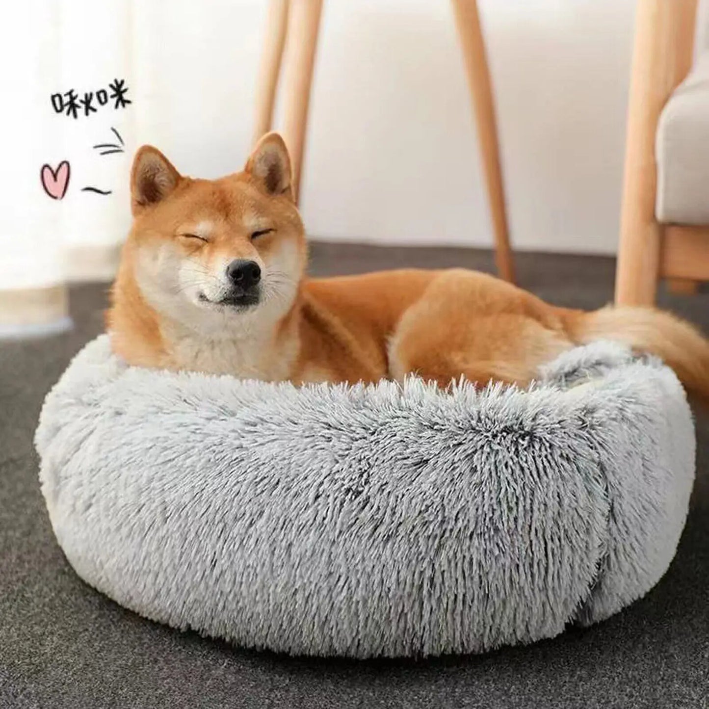 Pet Dog Round Plush Kitten