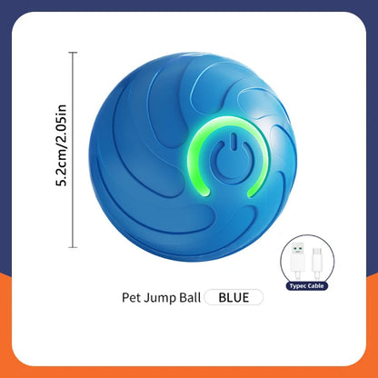 Smart Dog Toy Ball Electronic