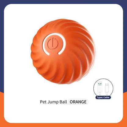 Smart Dog Toy Ball Electronic