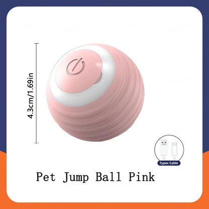 Smart Dog Toy Ball Electronic