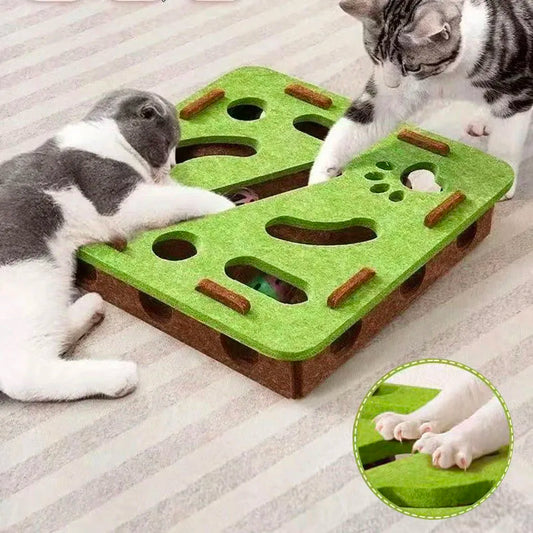 Pet Cat Puzzle Maze Holes