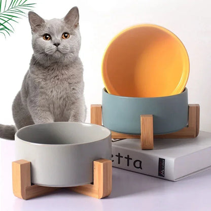 Self Assembly Ceramic Double Cat